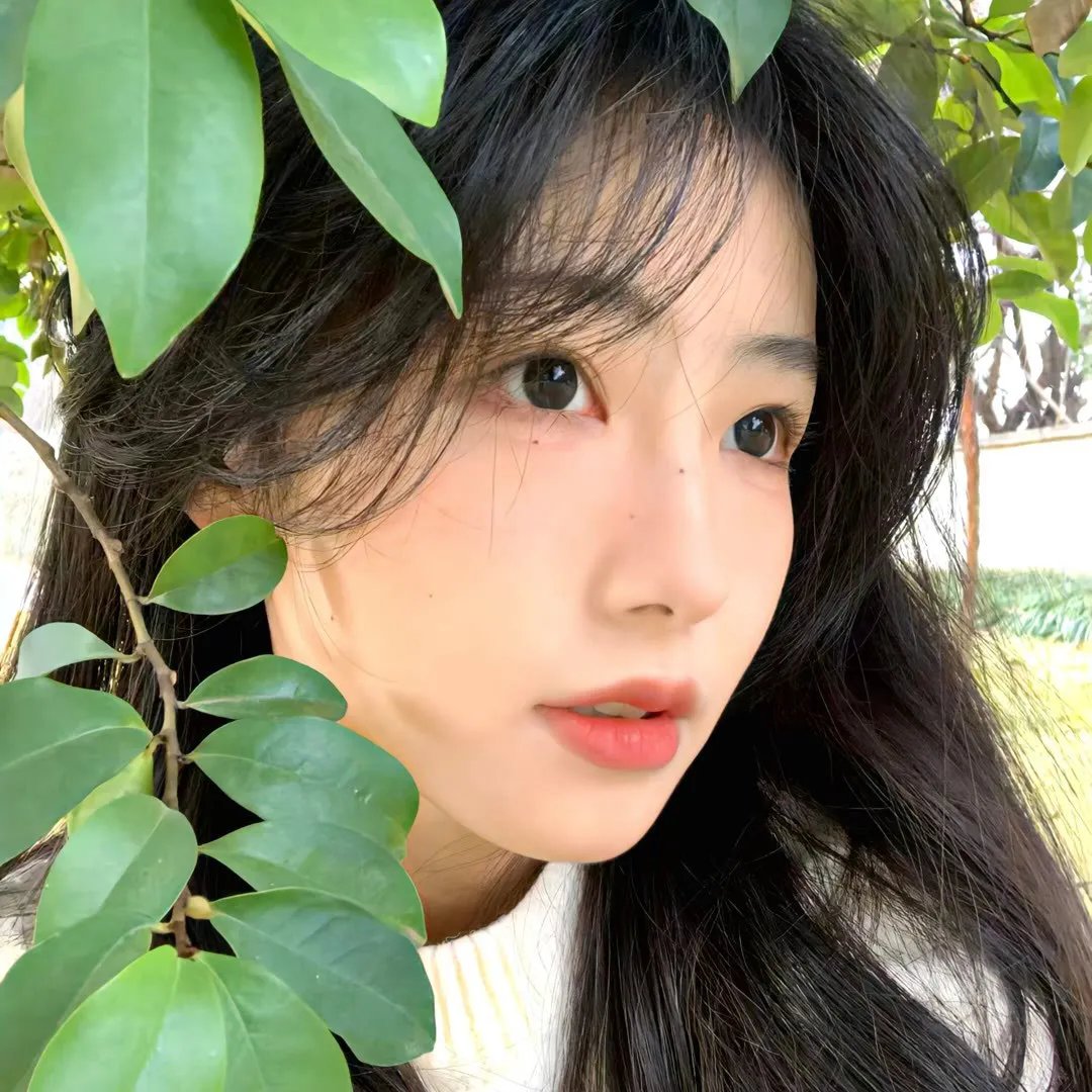 黑百合公寓