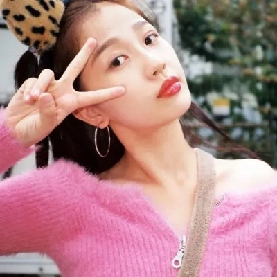 狗的生涯